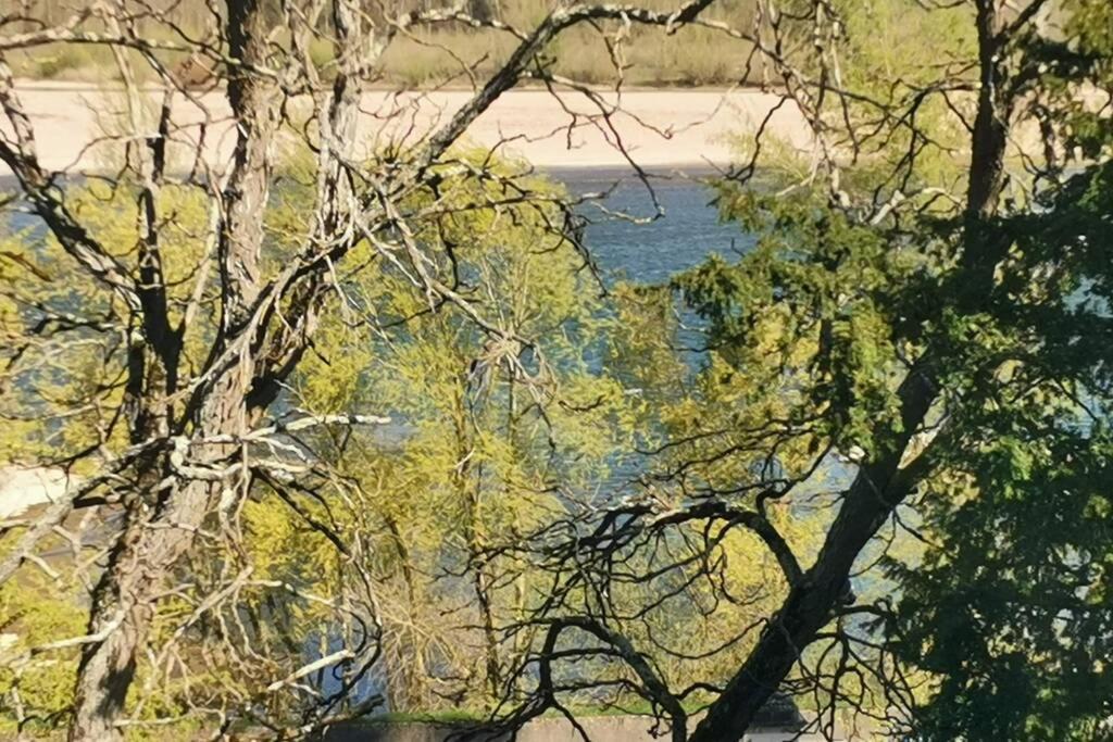 Amalouyse De Charme Au Coeur Des Chateaux De La Loire *